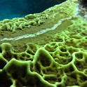 IMG 0563