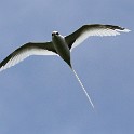 IMG 5664
