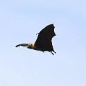 IMG 5717 1