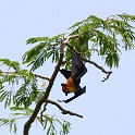 IMG 5729 1