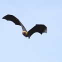 IMG 5759 1