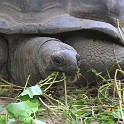 IMG 5779