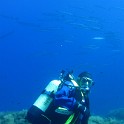 IMG 0977