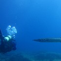 IMG 0985