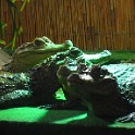 IMG 0673