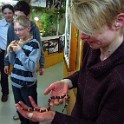 IMG 0708