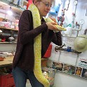 IMG 0753