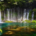 IMG 0046