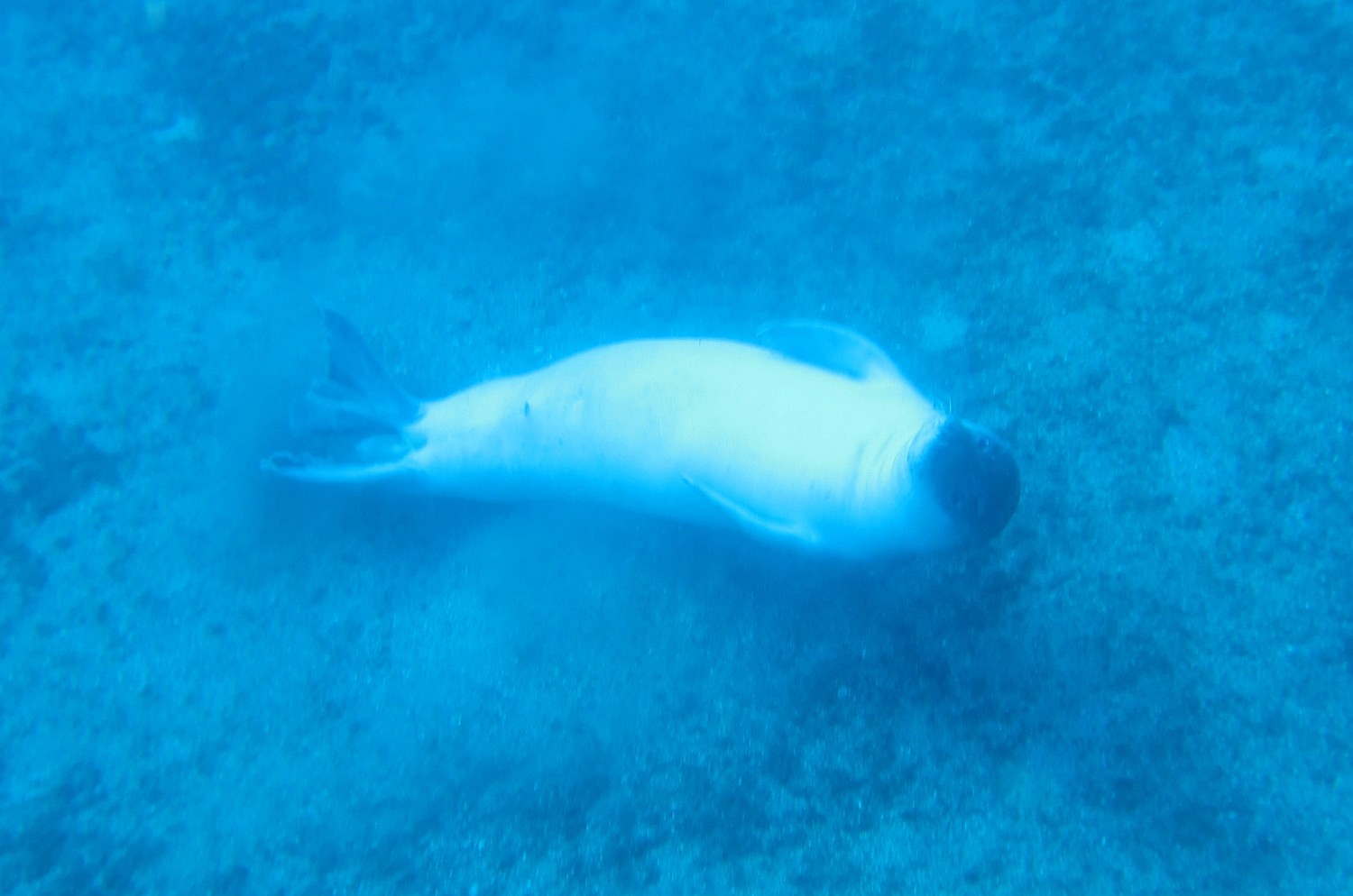 IMG 3660