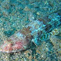 IMG 3756