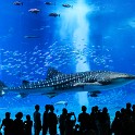 IMG 3289