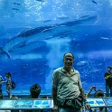 IMG 3294