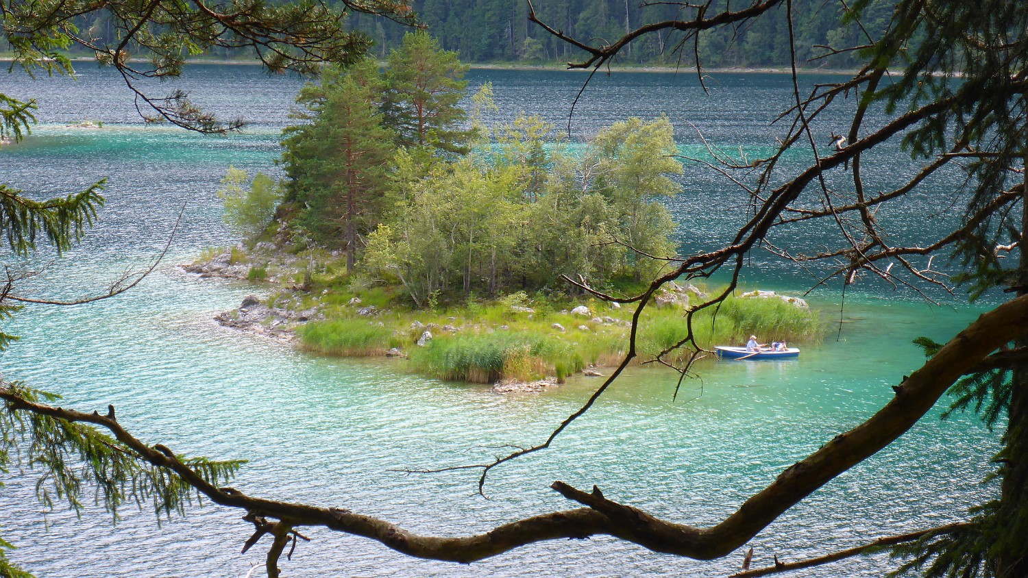 P1000688
