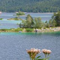 P1000686