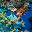 P1020945