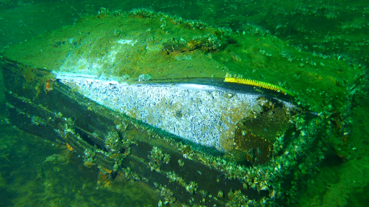 P1010885