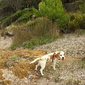 IMG 6191 1