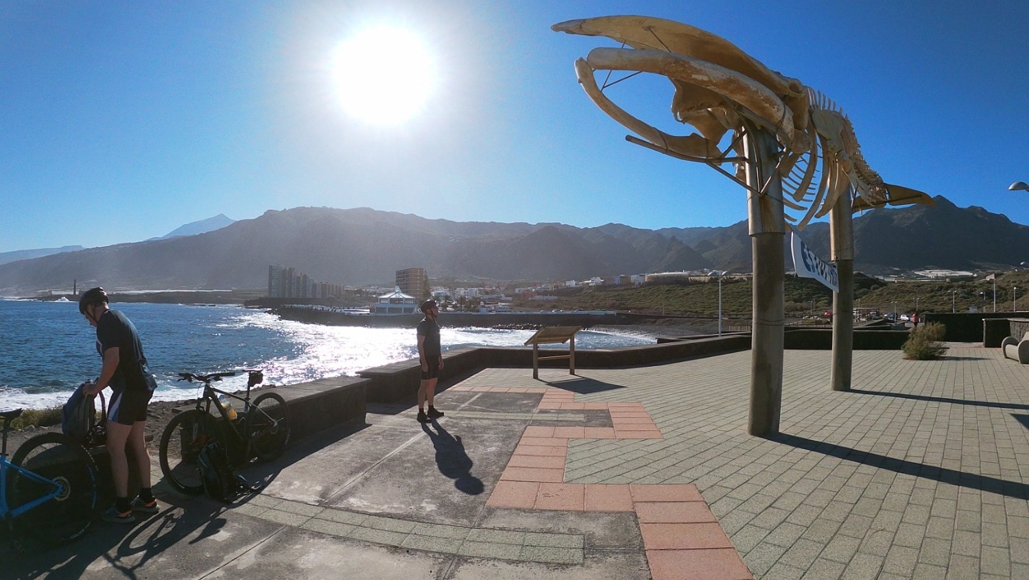 IMG-20211218-WA0002