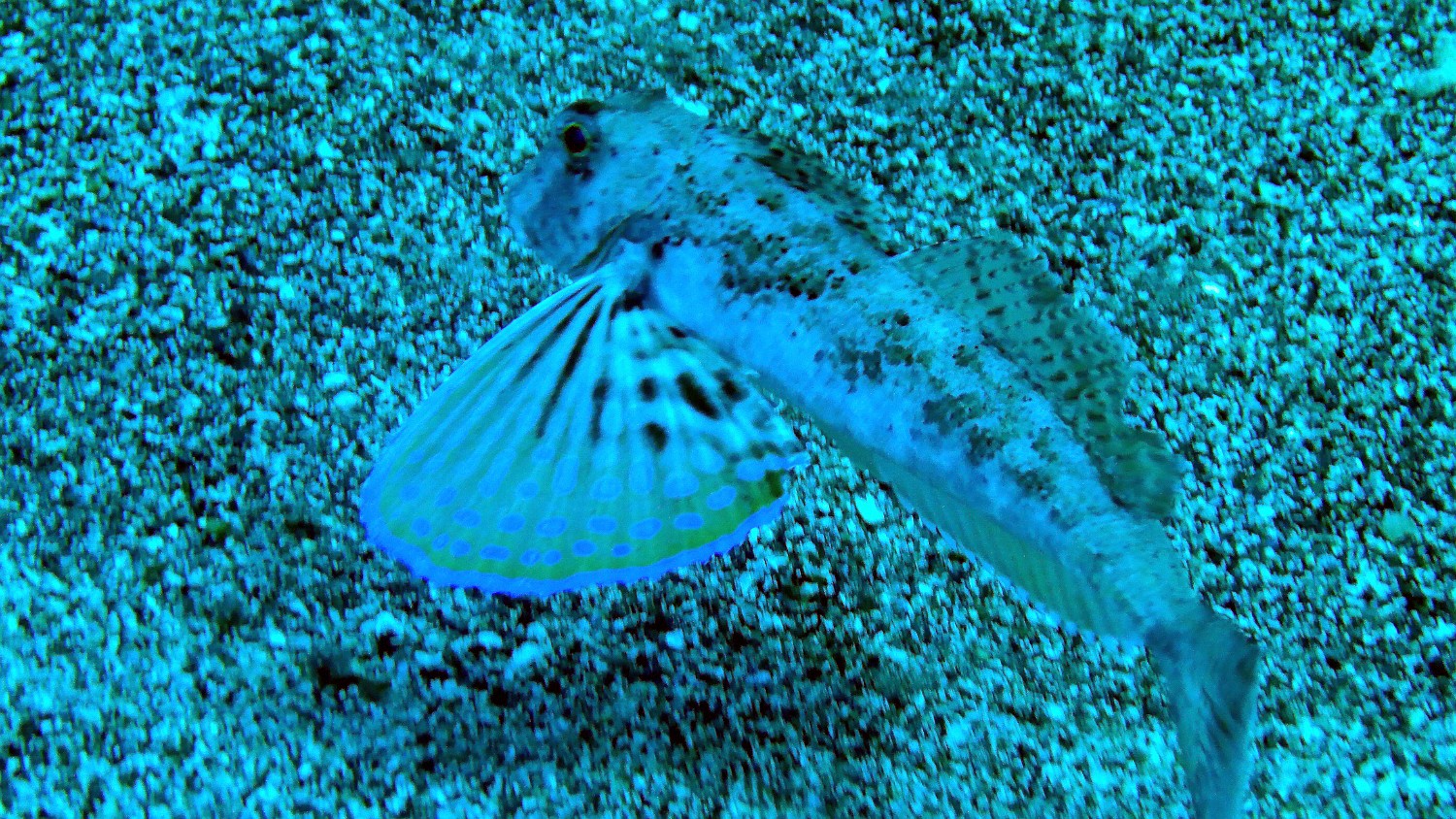 P1040570