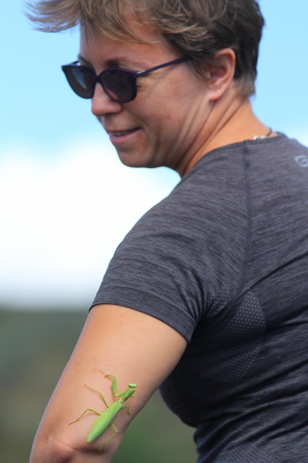 IMG 7768