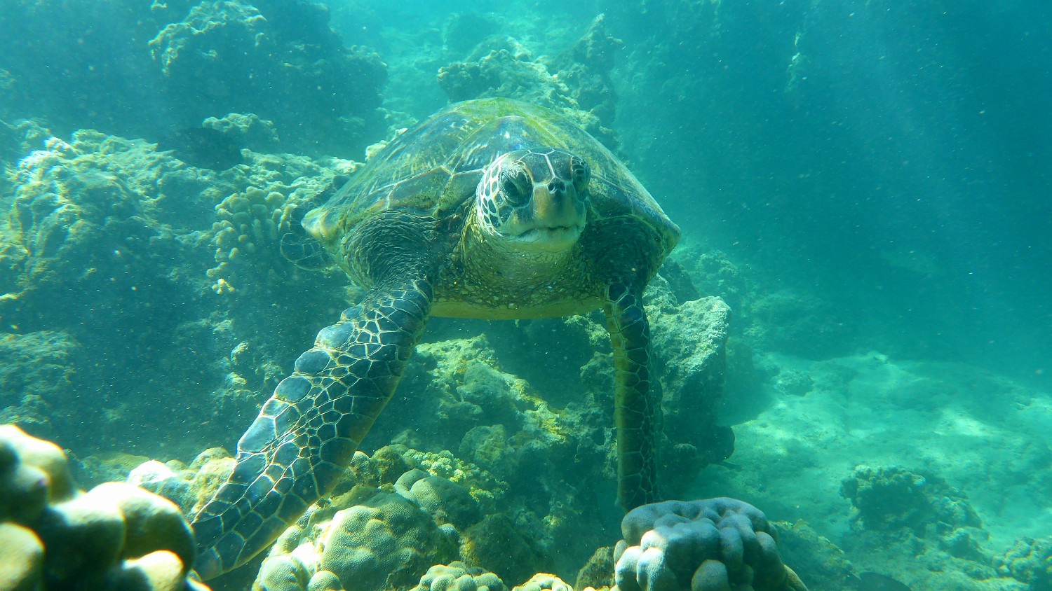 P1040891