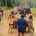 IMG 20240131 161622