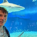 IMG 4795