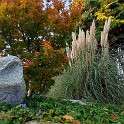 IMG 20251112 084142