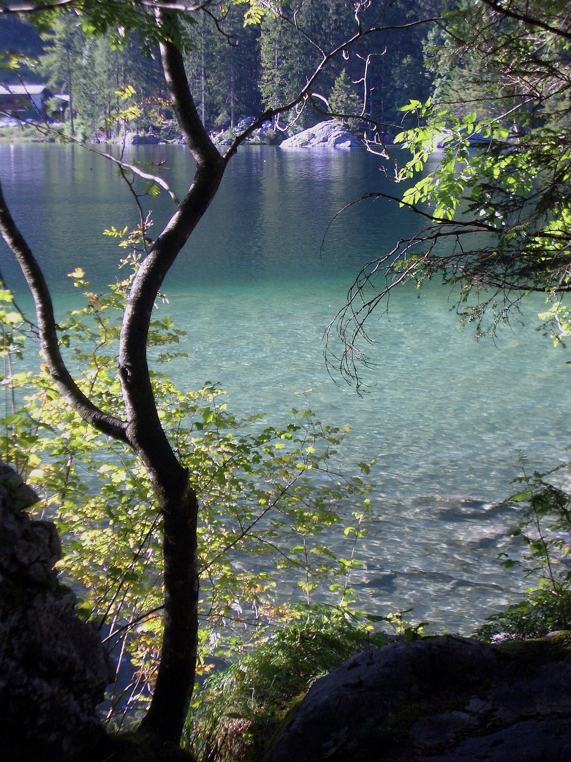 IMGP0820
