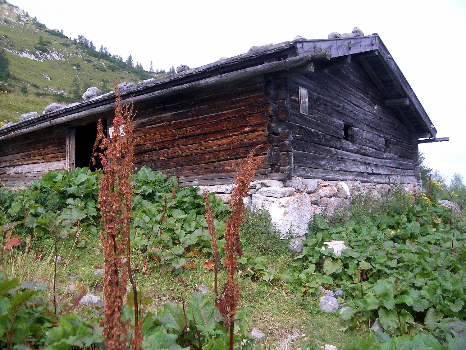 IMGP0854