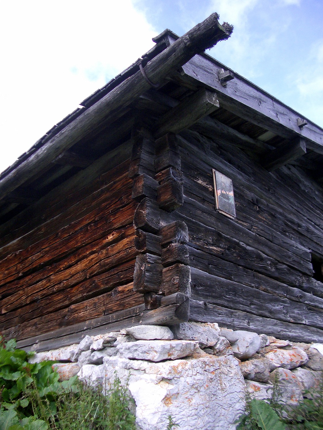 IMGP0855
