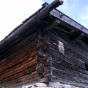 IMGP0855