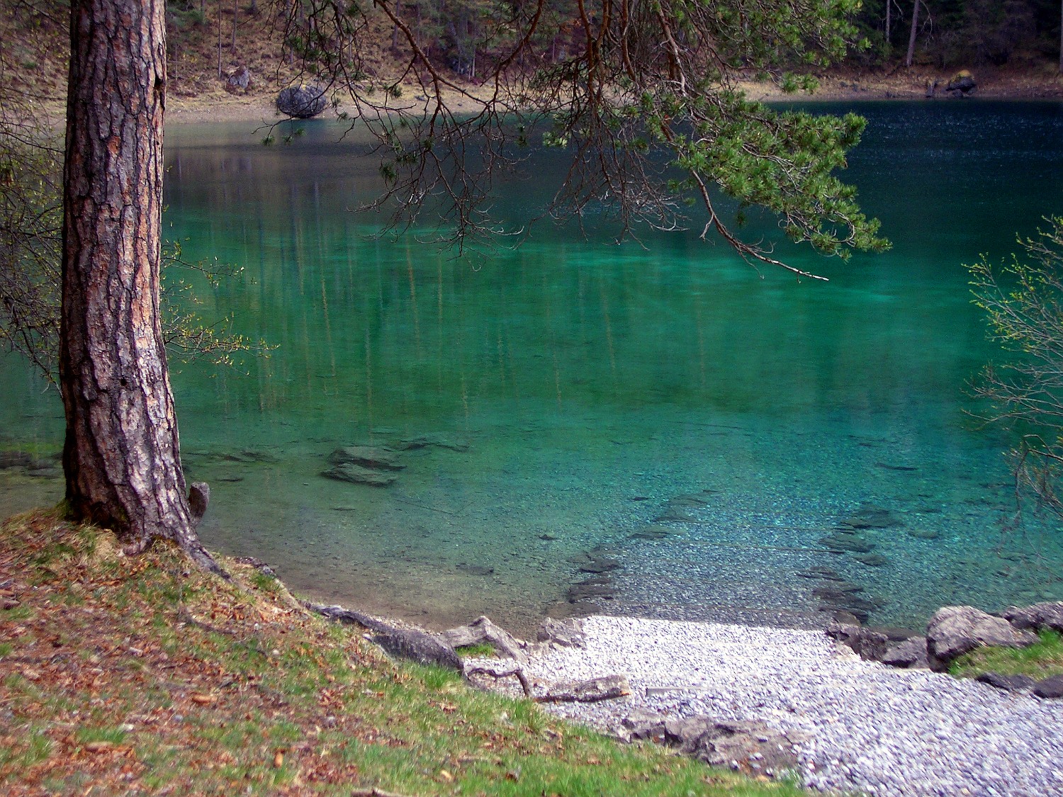 IMGP1956