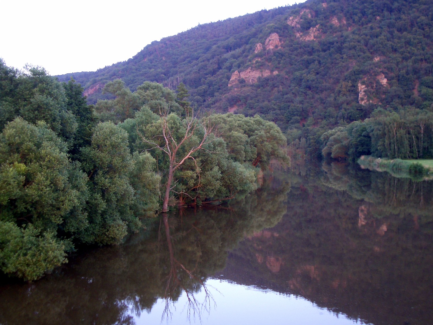 IMGP3963
