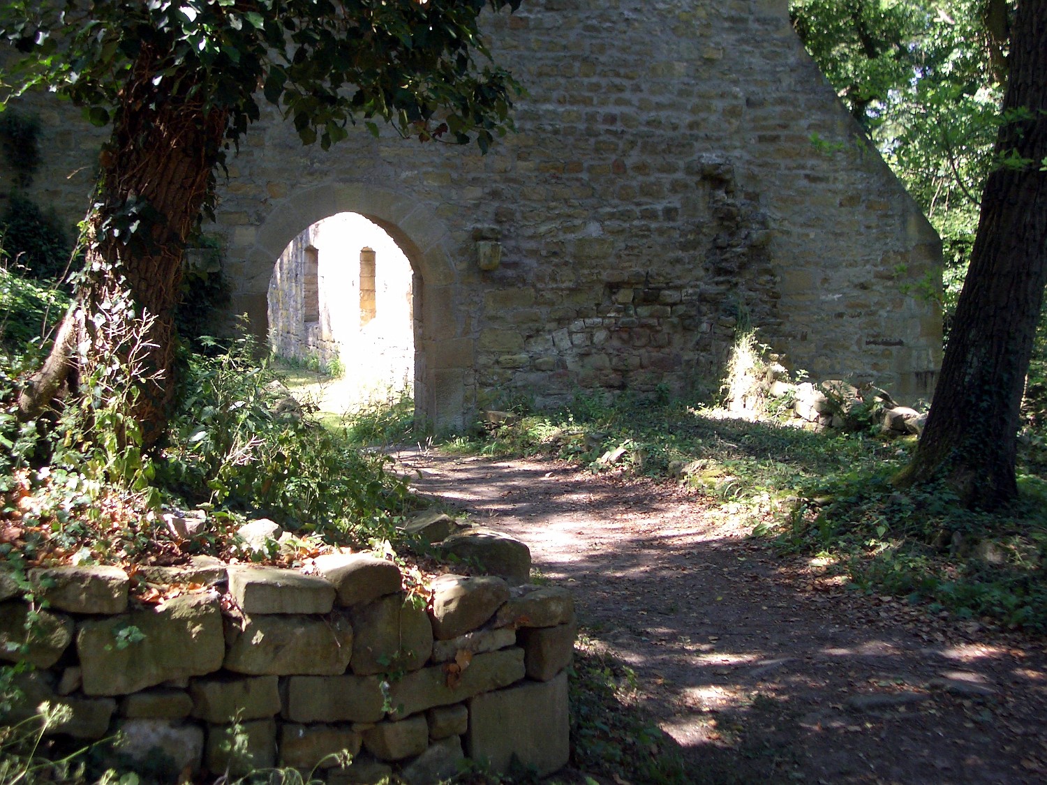 IMGP3976