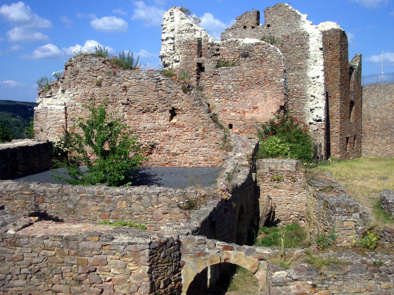 IMGP3998