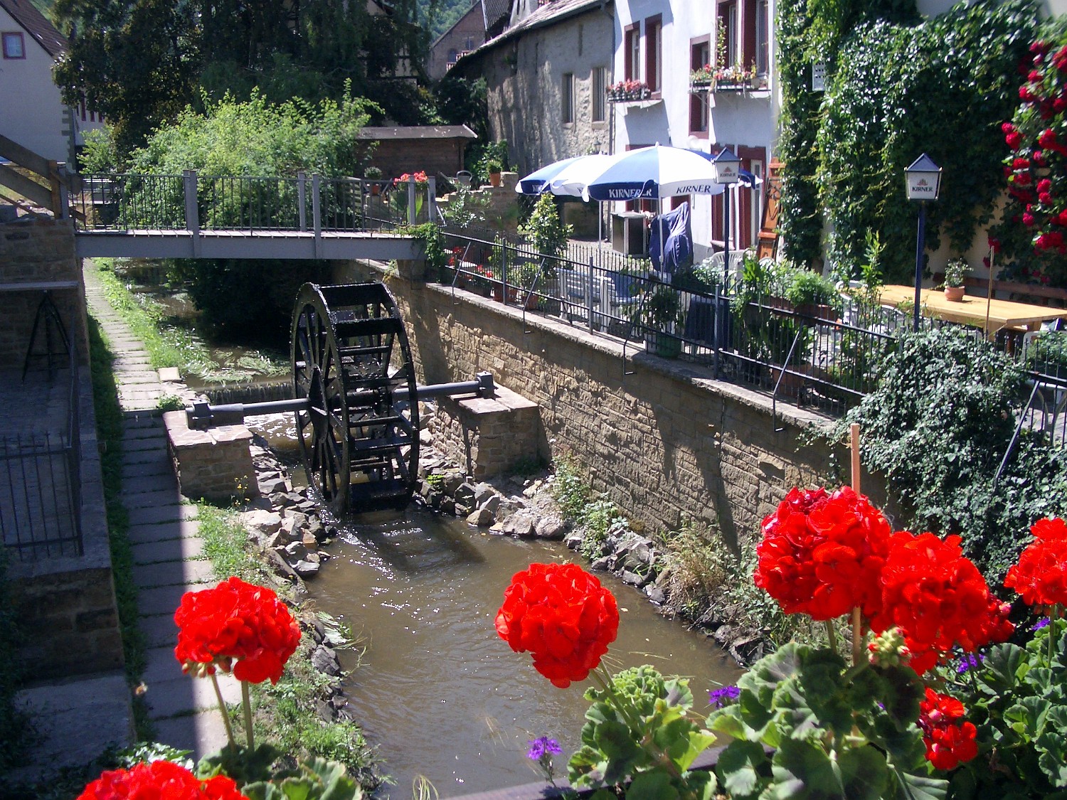 IMGP4037