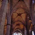 DSC05459
