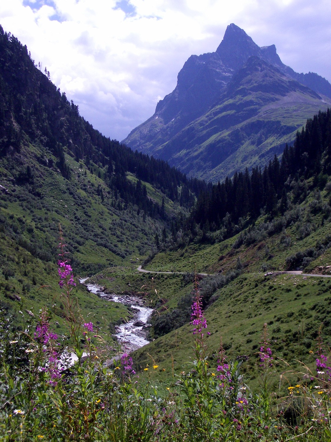 IMGP4074