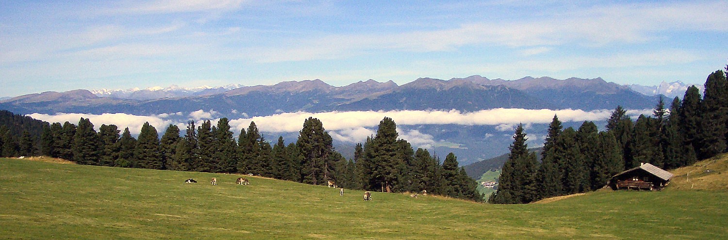 IMGP5194