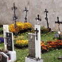 IMGP5148