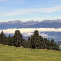 IMGP5194