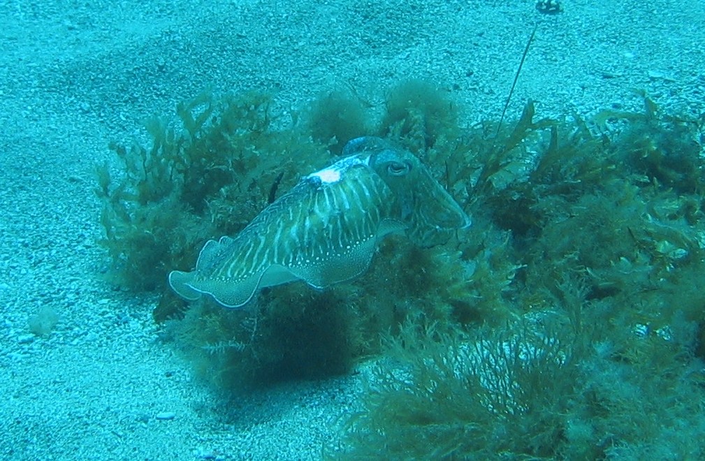 IMG 0025