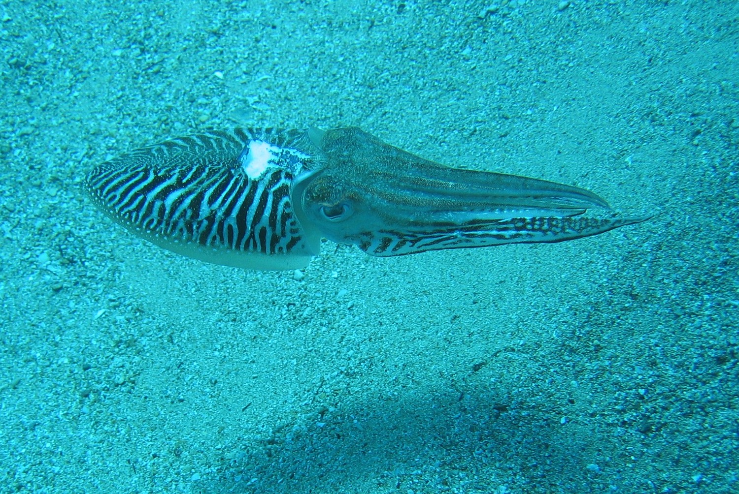 IMG 0027
