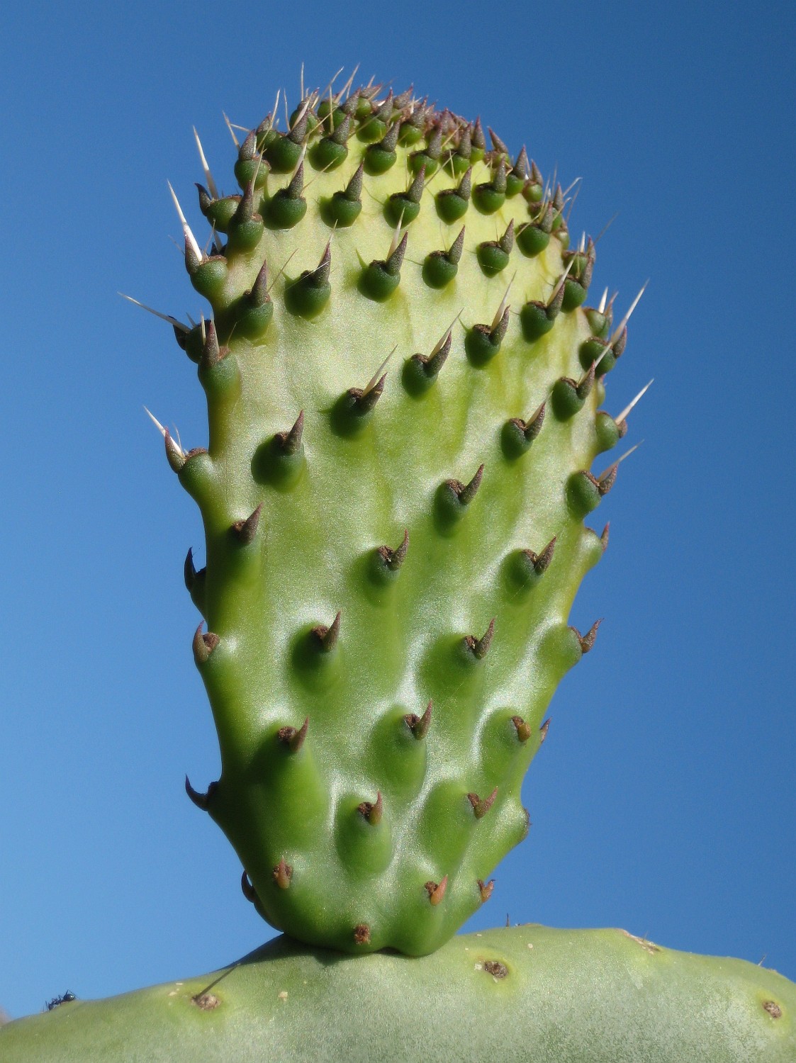IMG 0305