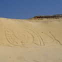 IMG 0020