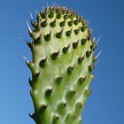 IMG 0305