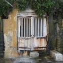 IMG 0497
