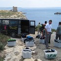 IMG 0599