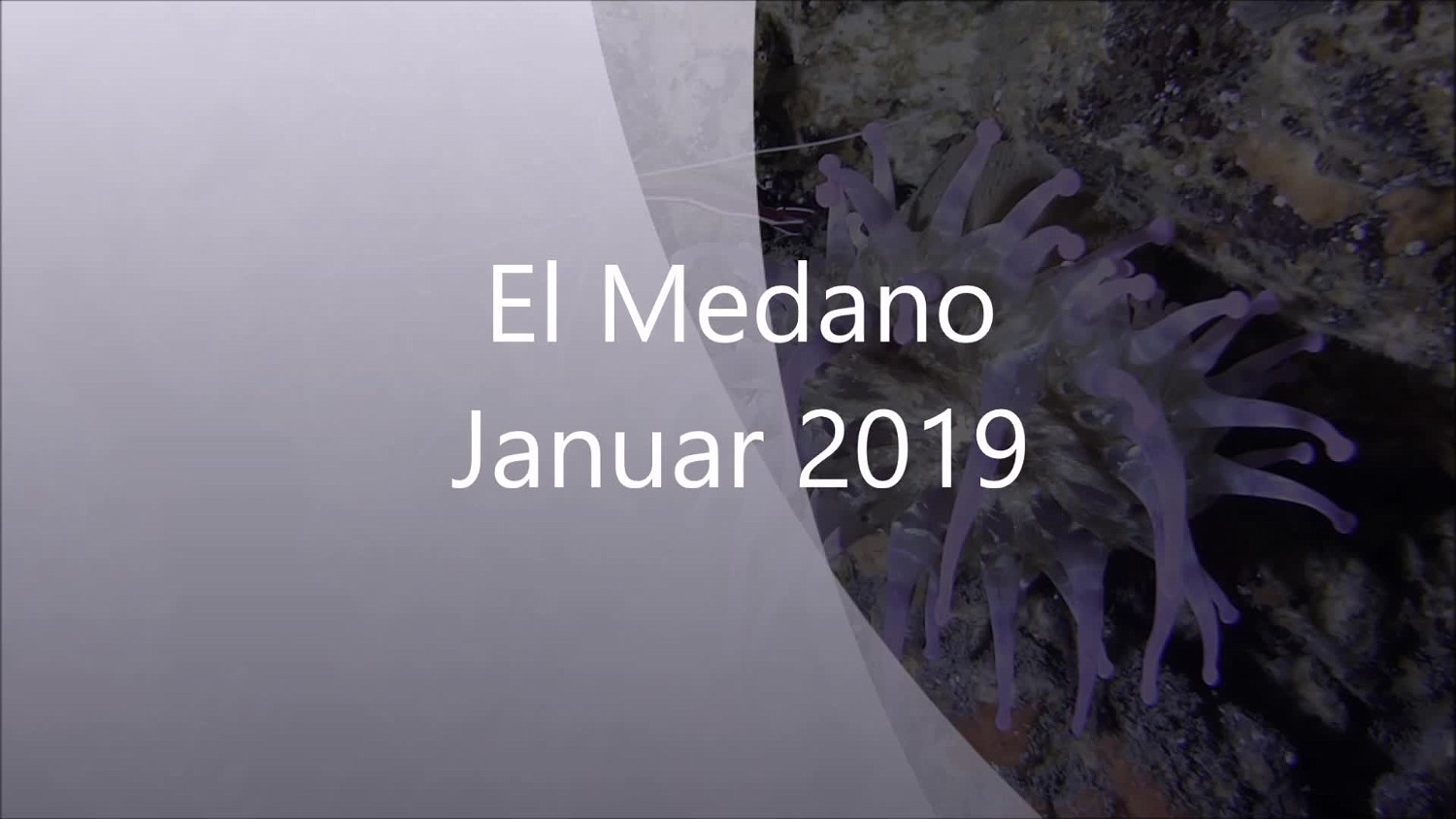 2019 El Medano